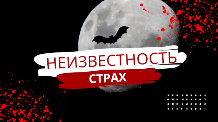 Почему люди боятся начинать что-то новое