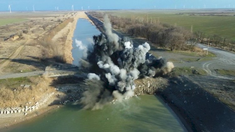 животные в затопленной Херсонской области